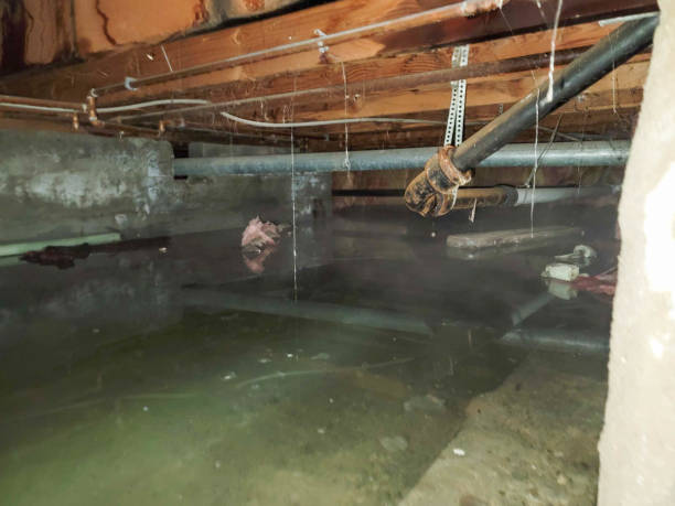 Best Residential water damage restoration  in Jacksonville, TX