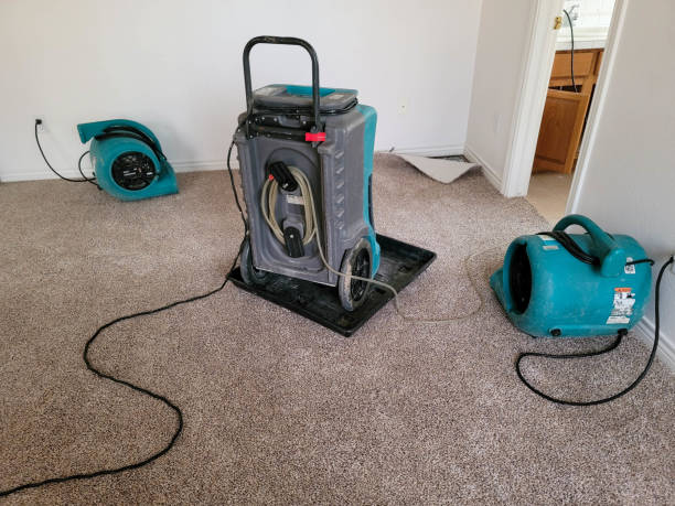 Best Flood damage cleanup  in Jacksonville, TX