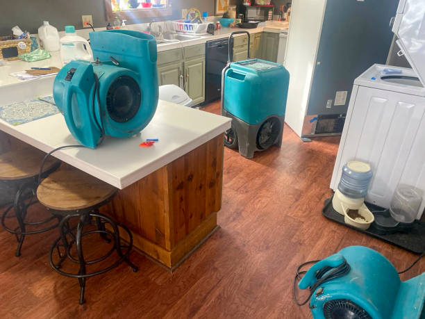Best Flood restoration services  in Jacksonville, TX