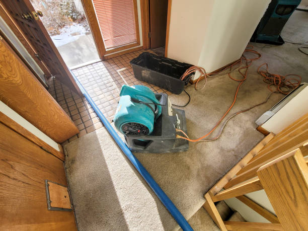 Best Sewage cleanup and water damage restoration  in Jacksonville, TX