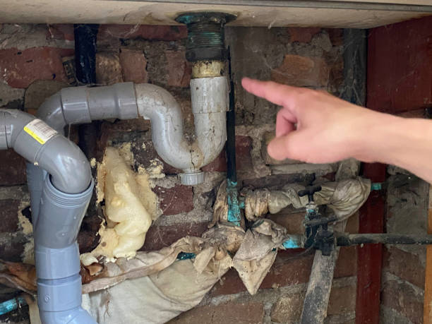Best Water damage cleanup near me  in Jacksonville, TX
